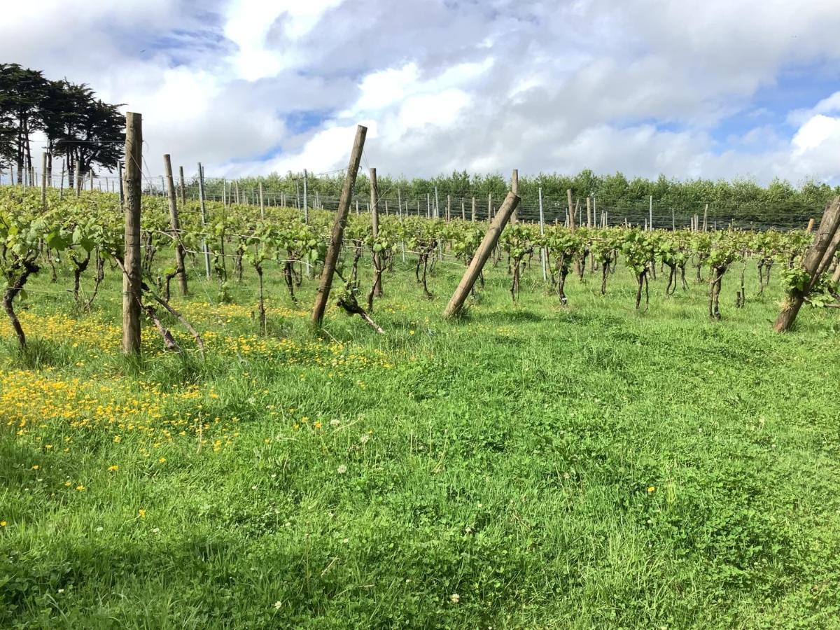 Apartmán Polgoon Vineyard Annex Penzance Exteriér fotografie